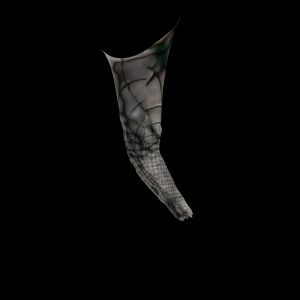 arm4