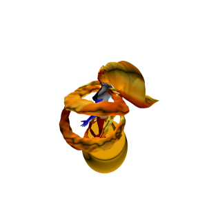 render14